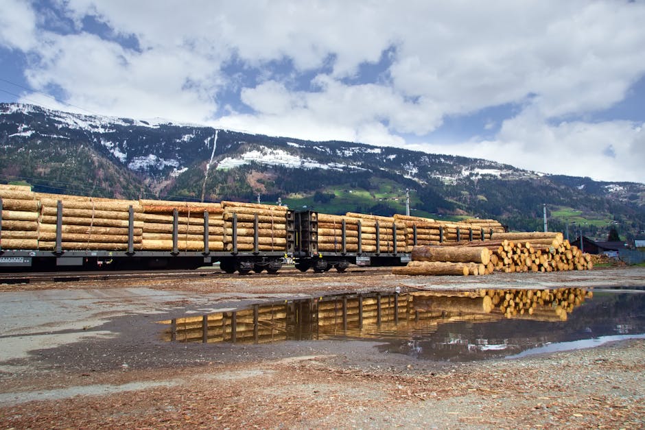 A freight train carrying timber logs near Lienz, Austria, reflecting in a puddle.