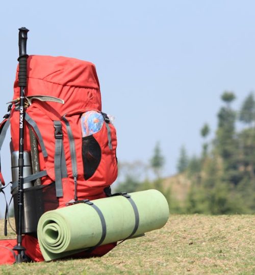 Red backpack with hiking pole and mat on grassy field with forest background.