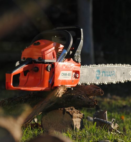 Red chainsaw on a tree log in an outdoor setting, highlighting cutting tools and equipment.